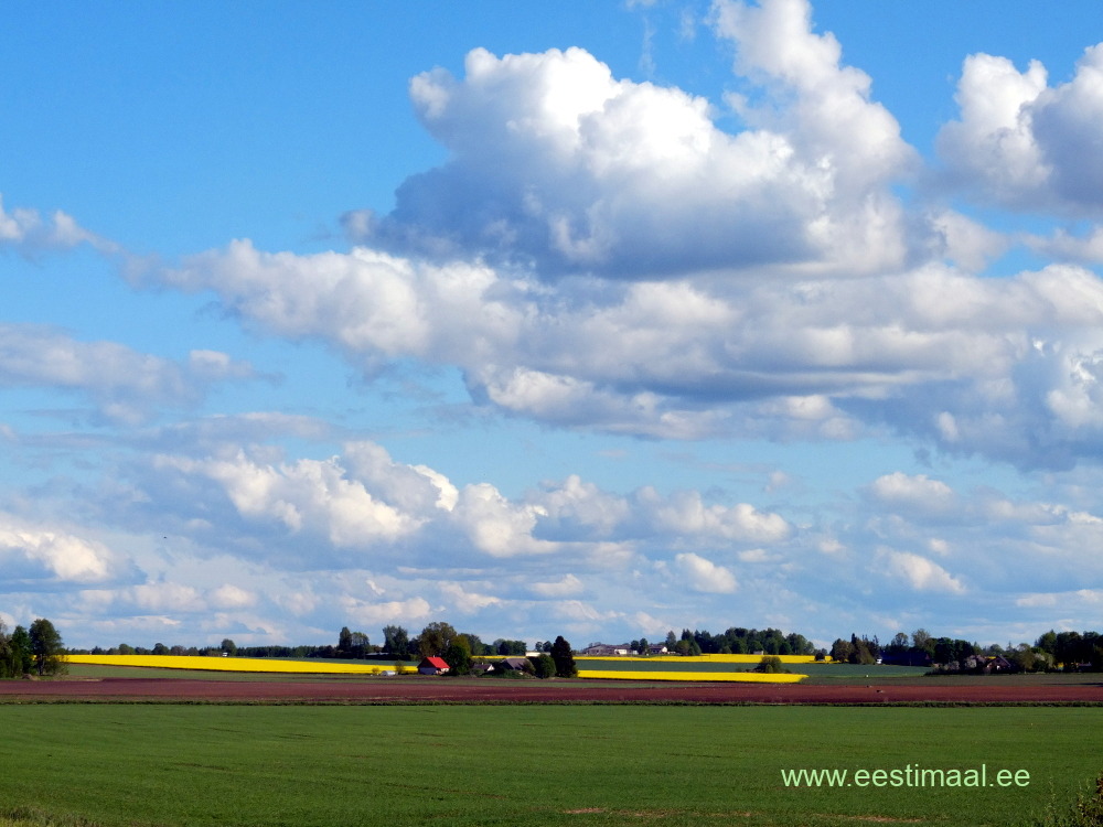 Põllud, pilved ja taevas Lõuna-Eestis
