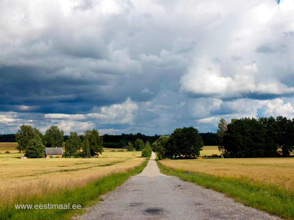 Külavahetee ja viljapõllud Lõuna-Eestis