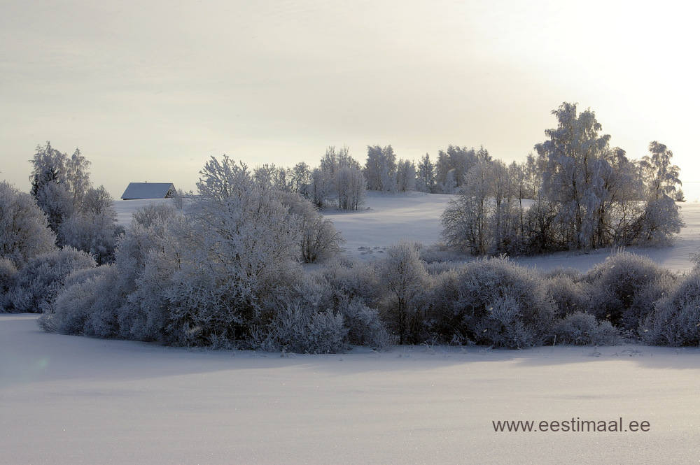 Lumine Lõuna-Eesti maastik talvel
