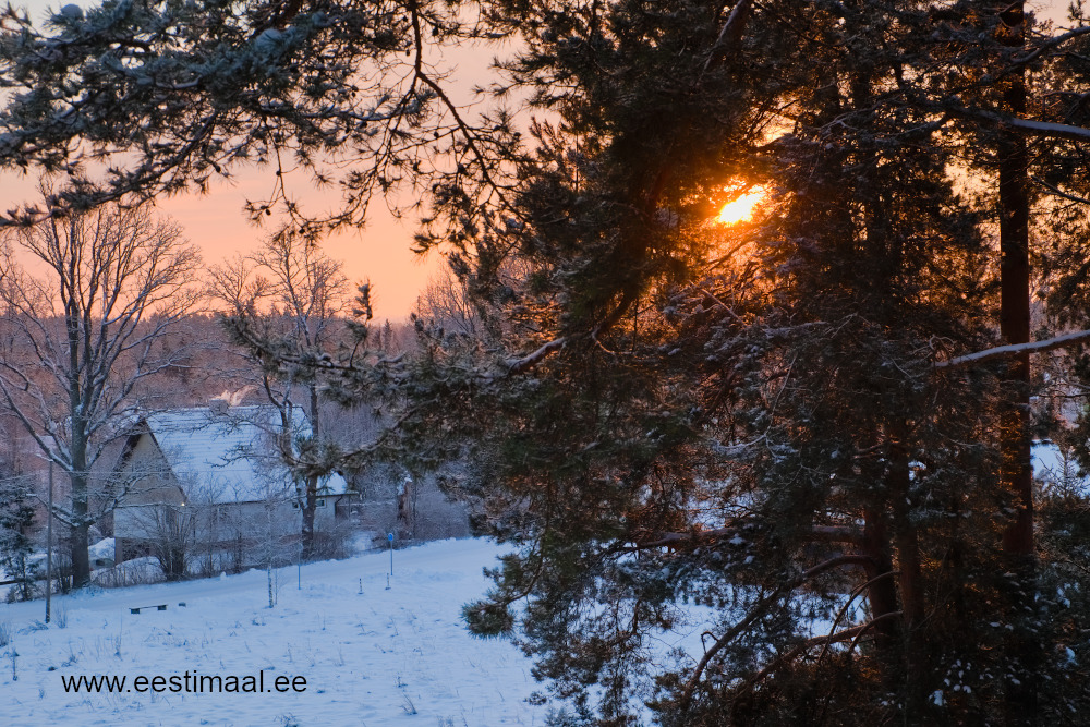 Talvine maja ja päikesetõus läbi puude