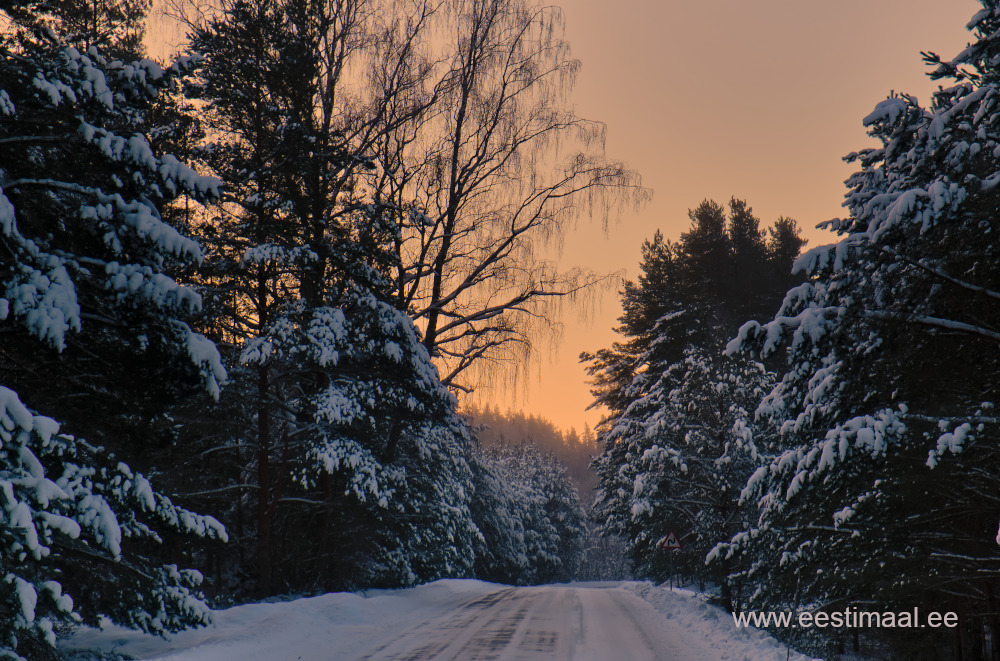 Talvine päikesetõus Lõuna Eestis